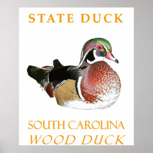 South Carolina Territory Duck The Wood Duck Poster