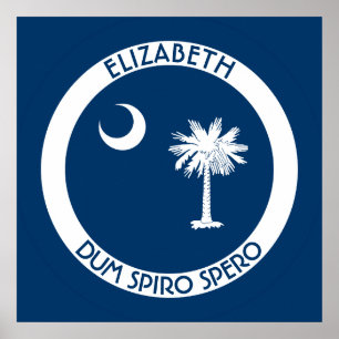 South Carolina The Palmetto State Personal Flag Poster