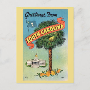 South Carolina's Cabbage Palm  Postcard