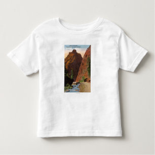 South Cheyenne Canyon Toddler T-Shirt