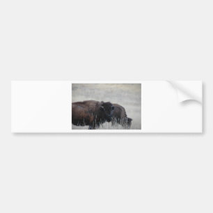South Dakota Buffalo Nature Picture Bumper Sticker