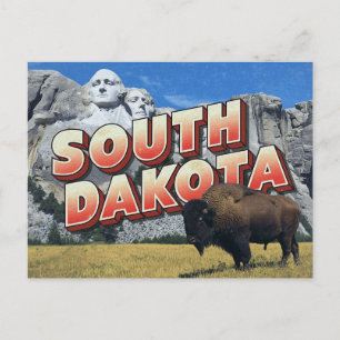 South Dakota Mount Rushmore Bison Postcard