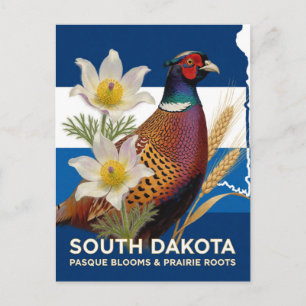 South Dakota Pheasant And Pasque Flower Symbols Postcard