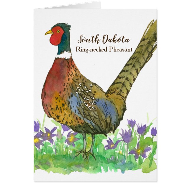 South Dakota Ring Necked Pheasant Blank (Front)