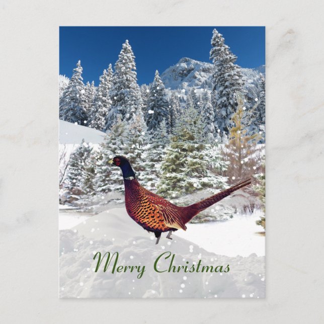 South Dakota Ring-Necked Pheasant Christmas Postcard (Front)