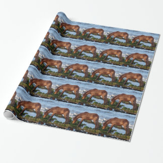 South Devon Dartmoor Pony Eating Seaweed On Beach Wrapping Paper