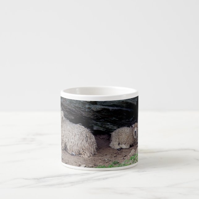 South Devon Long Wool Sheep Family Sheltering Espresso Cup (Front)