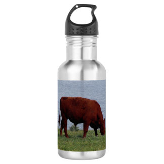 South Devon Ruby Red Cow Grazeing On Coastline 532 Ml Water Bottle