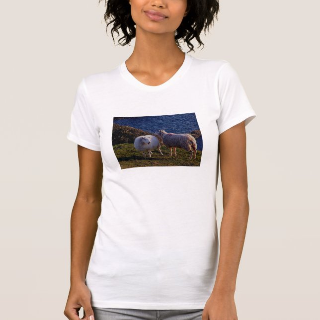 South Devon Two Sheep On Remote Coastline T-Shirt (Front)