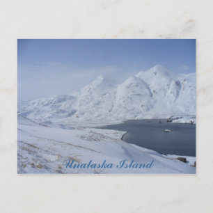 South End of Captain's Bay, Unalaska Island Postcard