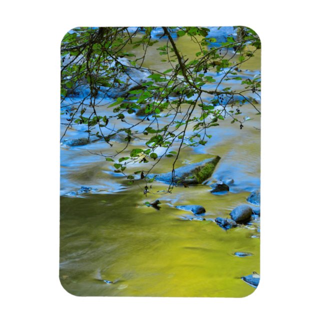 South Fork Wilson River, Oregon Magnet (Vertical)