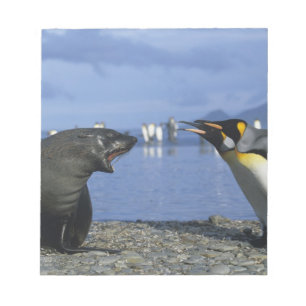 South Georgia Island, St. Andrews Bay, King Notepad
