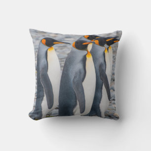South Georgia. King penguins Cushion