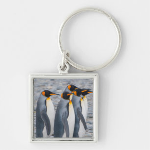 South Georgia. King penguins Key Ring