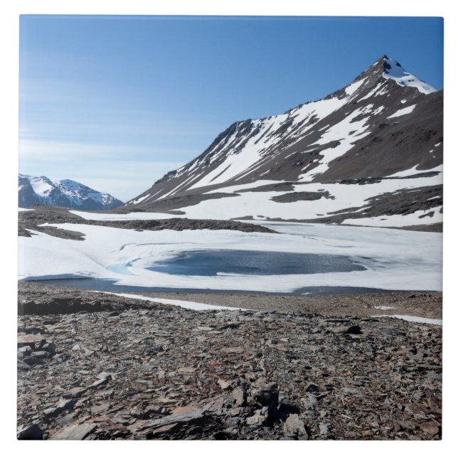 South Georgia Landscape Ceramic Tile (Front)