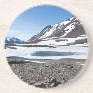 South Georgia Landscape Coaster