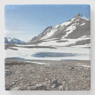 South Georgia Landscape Stone Coaster