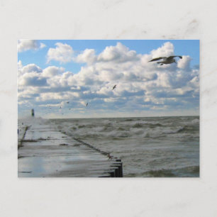 South Haven Pier Postcard