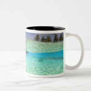 South Huvadhoo Atoll, Southern Maldives, Indian Two-Tone Coffee Mug