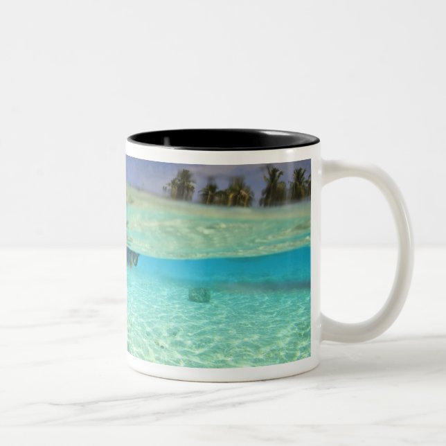 South Huvadhoo Atoll, Southern Maldives, Indian Two-Tone Coffee Mug (Right)