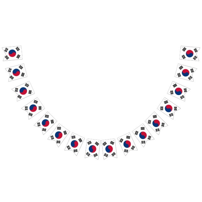 South Korea flag (All)