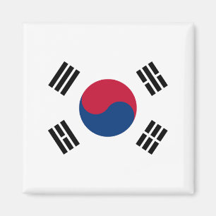 South Korea flag Magnet