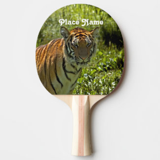 South Korean Tiger Ping Pong Paddle