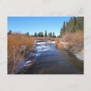South Lake Tahoe 2006 Postcard