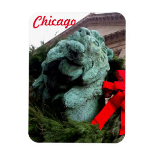 South Lion at the Art Institute of Chicago Magnet