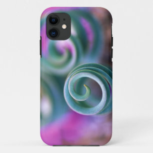 South Namaqualand, Curled lily leaves. Credit iPhone 11 Case