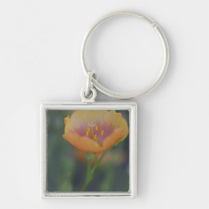 South of Devine Texas along Interstate 35 Key Ring