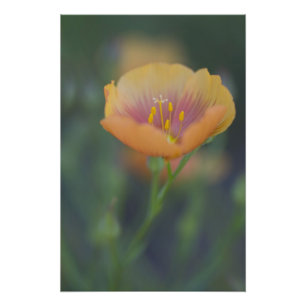 South of Devine Texas along Interstate 35 Photo Print
