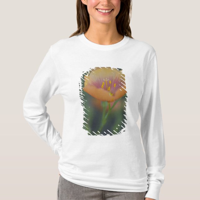 South of Devine Texas along Interstate 35 T-Shirt (Front)