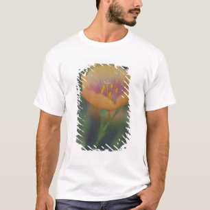 South of Devine Texas along Interstate 35 T-Shirt