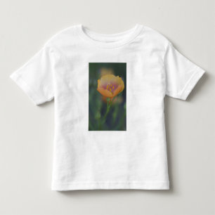 South of Devine Texas along Interstate 35 Toddler T-Shirt