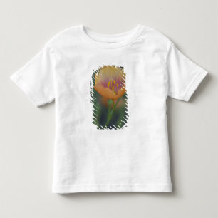 South of Devine Texas along Interstate 35 Toddler T-Shirt