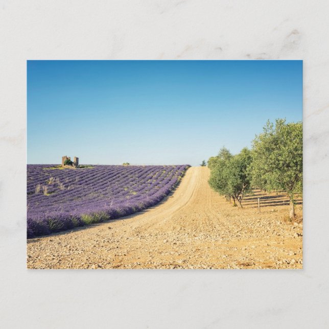 South of France Postcard (Front)