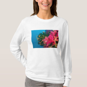 South Pacific, Fiji, Viti Levu, Bligh Water, T-Shirt