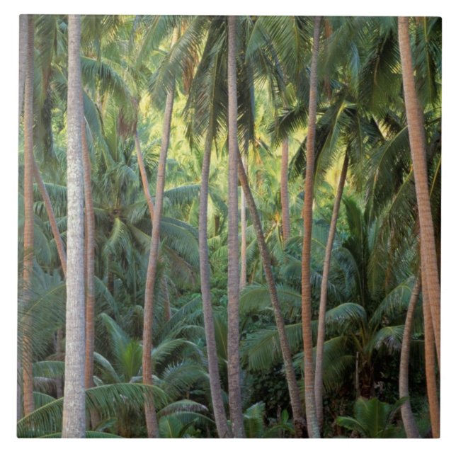 South Pacific, French Polynesia, Bora Bora. Ceramic Tile (Front)