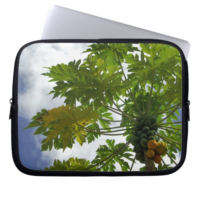 South Pacific, French Polynesia, Moorea. 2 Laptop Sleeve (Front)