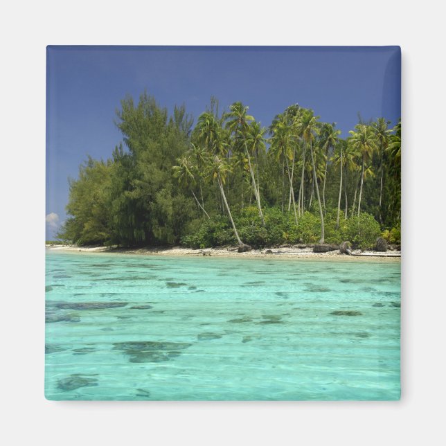 South Pacific, French Polynesia, Moorea 2 Magnet (Front)