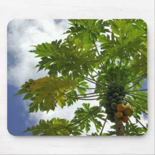South Pacific, French Polynesia, Moorea. 2 Mouse Pad