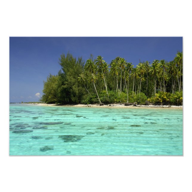 South Pacific, French Polynesia, Moorea 2 Photo Print (Front)