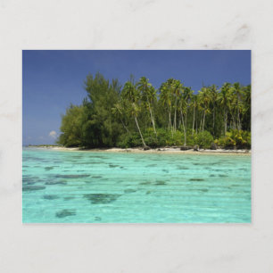 South Pacific, French Polynesia, Moorea 2 Postcard