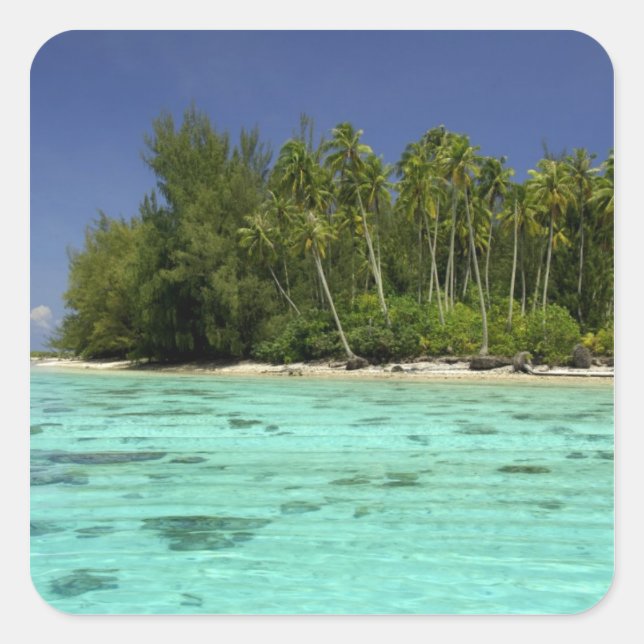 South Pacific, French Polynesia, Moorea 2 Square Sticker (Front)