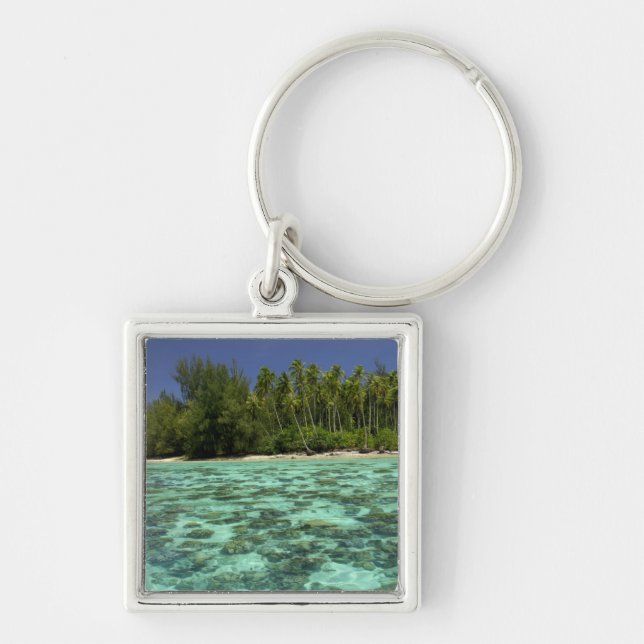 South Pacific, French Polynesia, Moorea 3 Key Ring (Front)