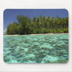 South Pacific, French Polynesia, Moorea 3 Mouse Pad