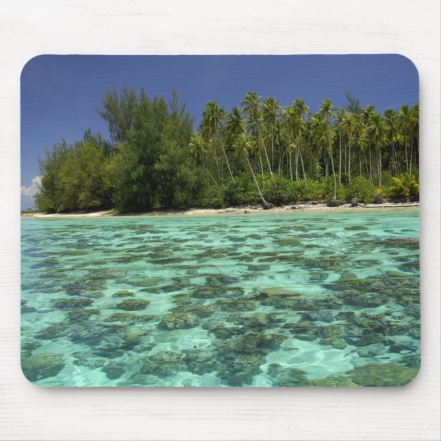 South Pacific, French Polynesia, Moorea 3 Mouse Pad (Front)