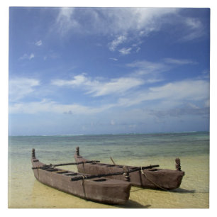 South Pacific, French Polynesia, Moorea. Tile