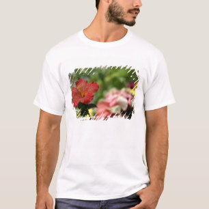 South Pacific, French Polynesia, Society 2 T-Shirt